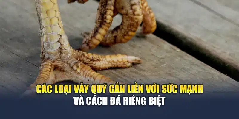 Các loại vảy quý gắn liền với sức mạnh và cách đá riêng biệt