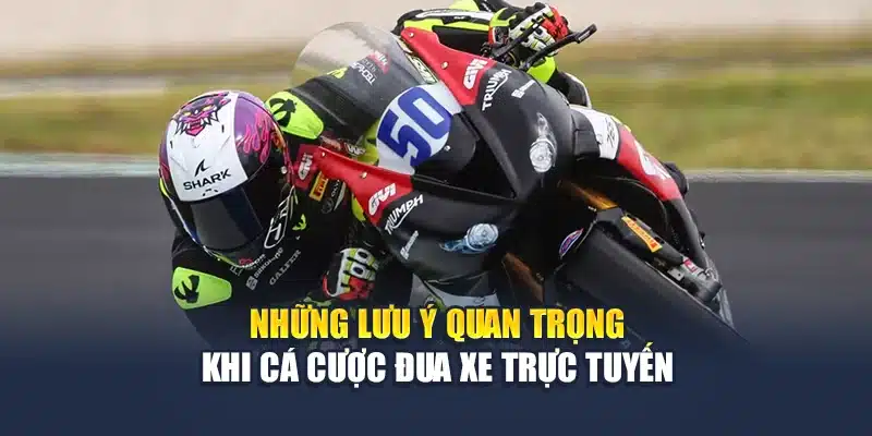Những lưu ý quan trọng khi cá cược đua xe trực tuyến